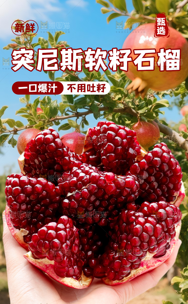 软籽石榴详情页