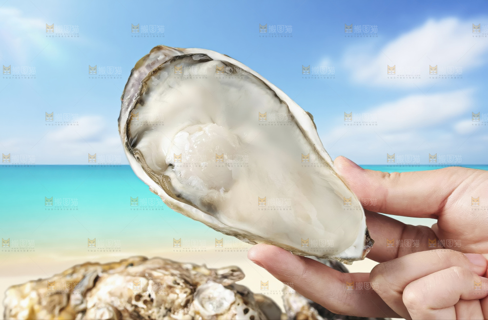 生蚝