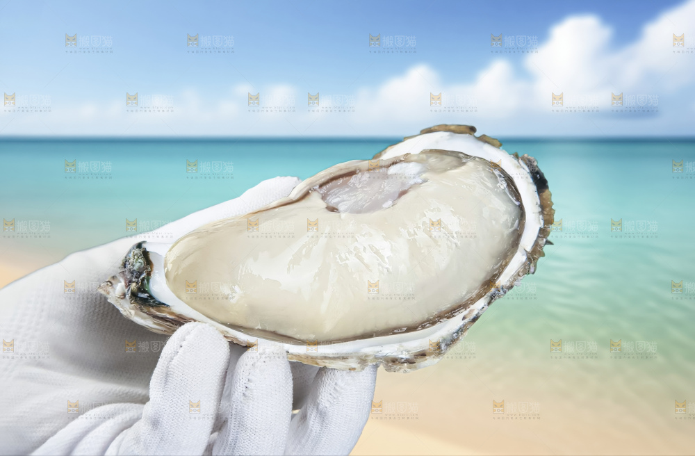 生蚝