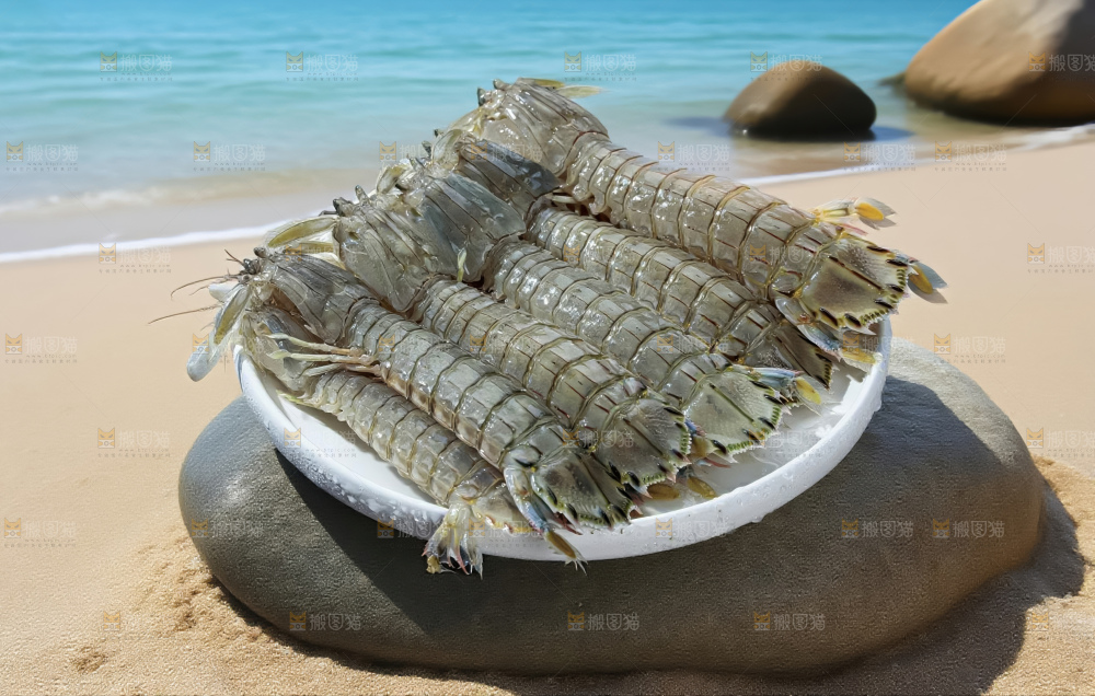 皮皮虾