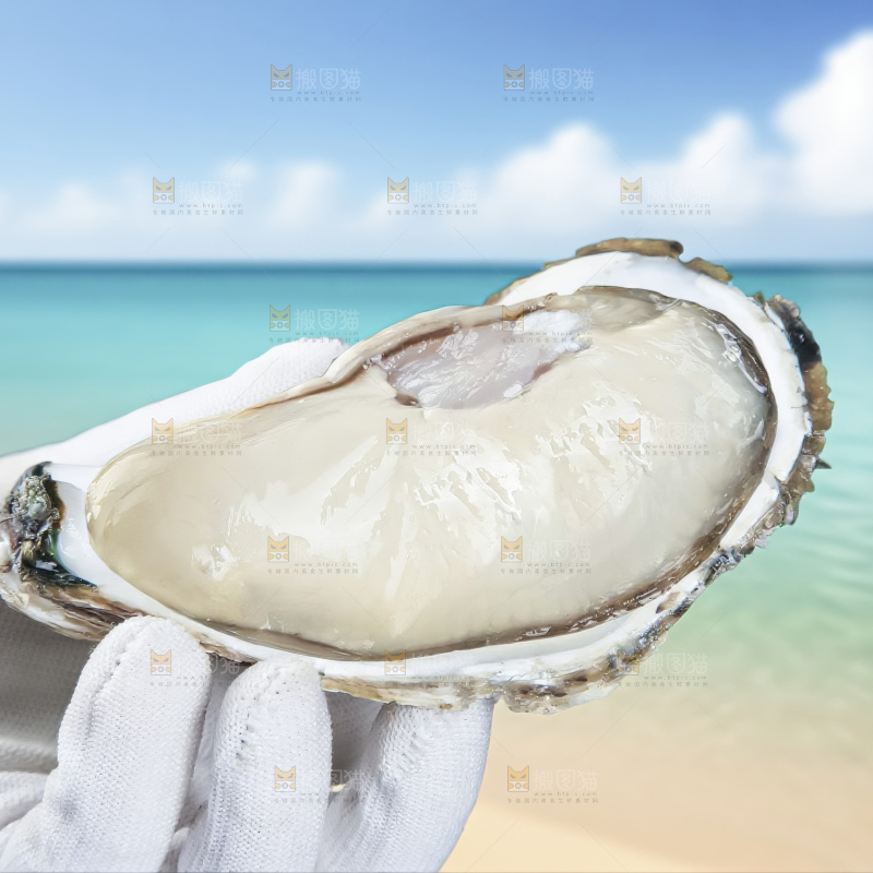 生蚝