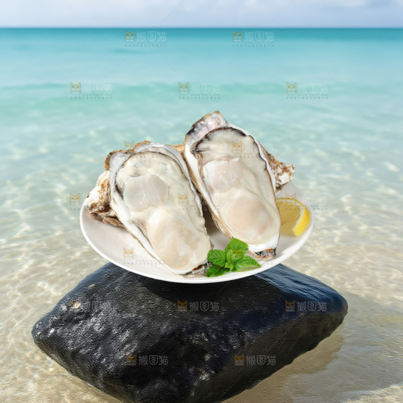 生蚝