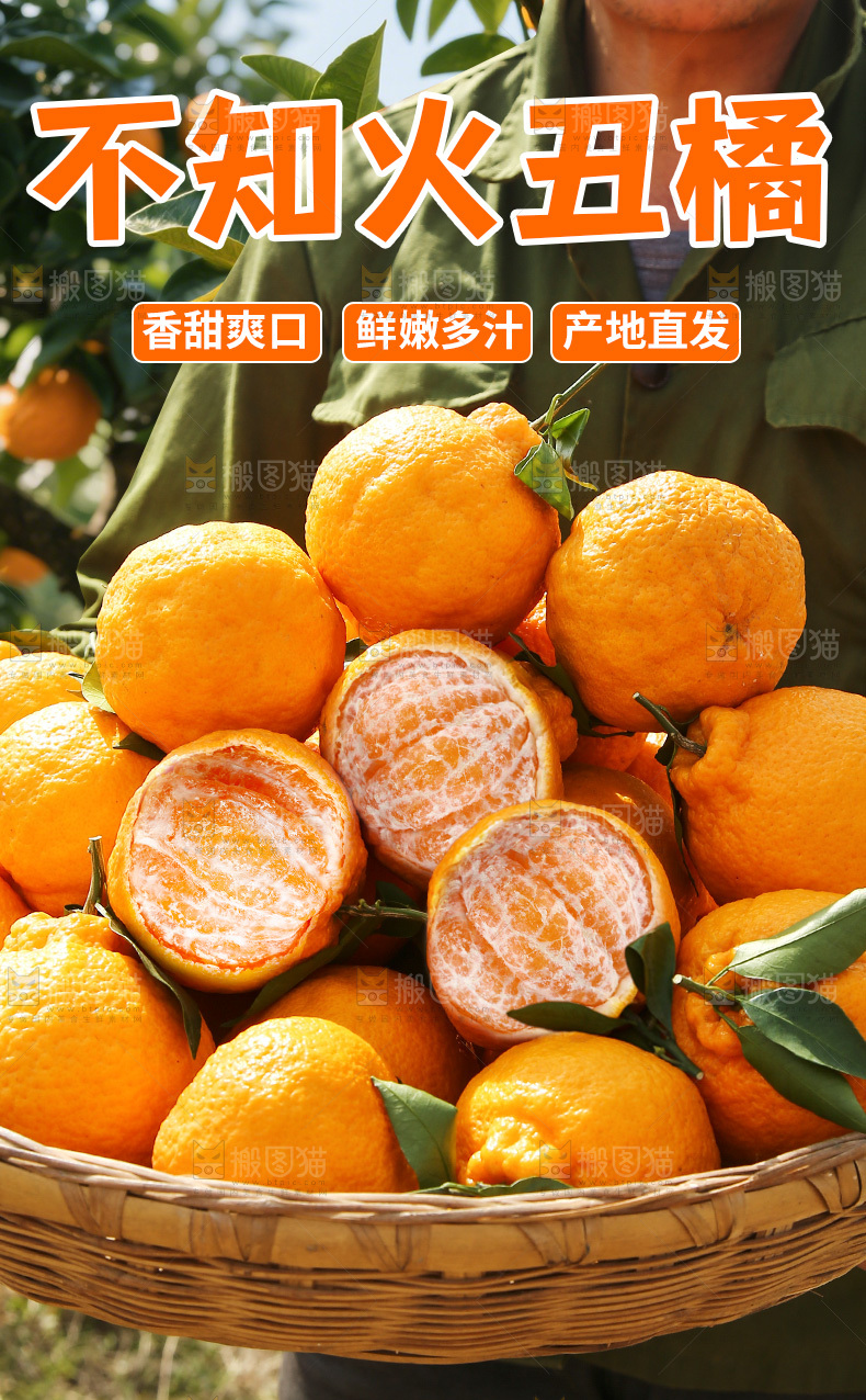 不知火丑橘详情页