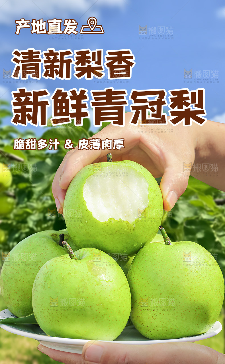 青皇冠梨详情页