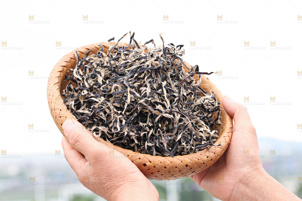 木耳丝