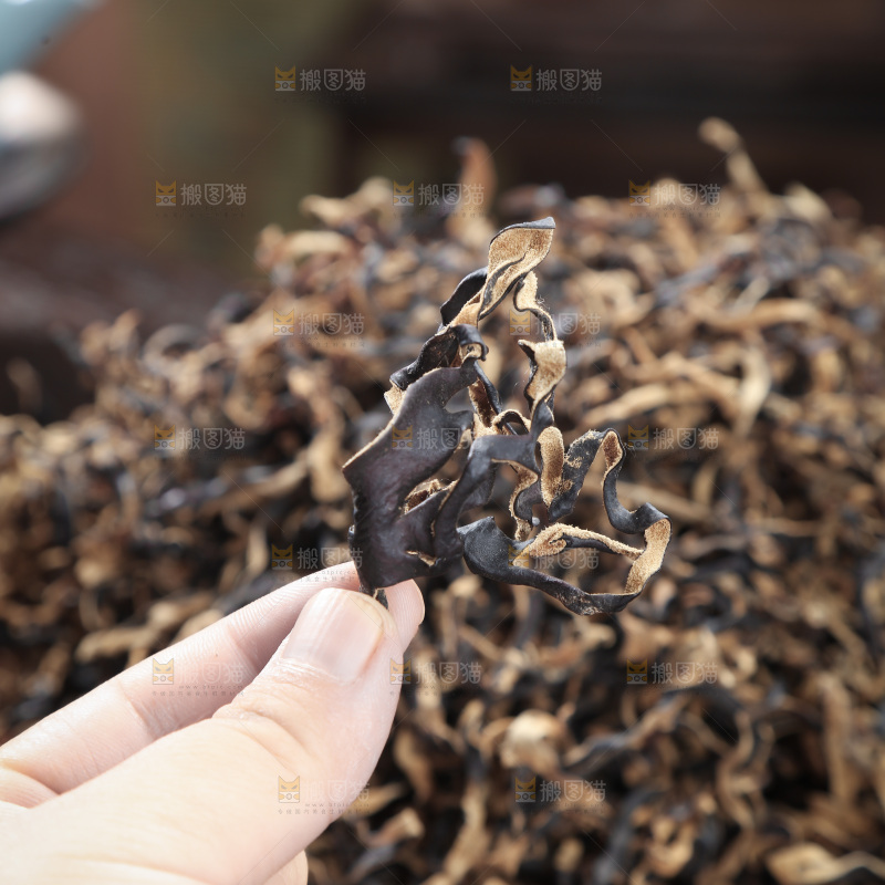 木耳丝