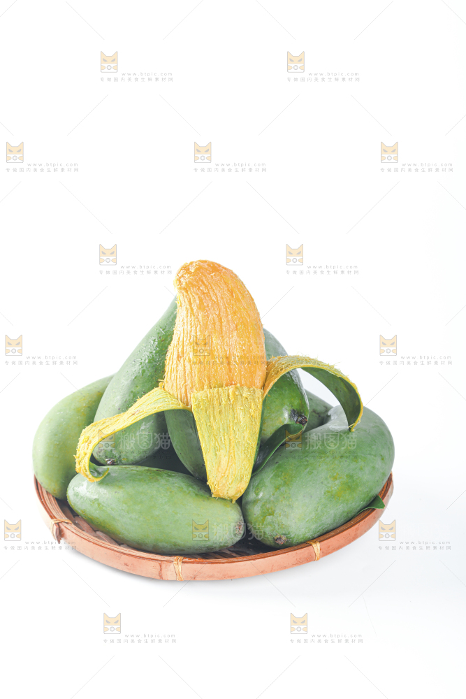 桂七芒
