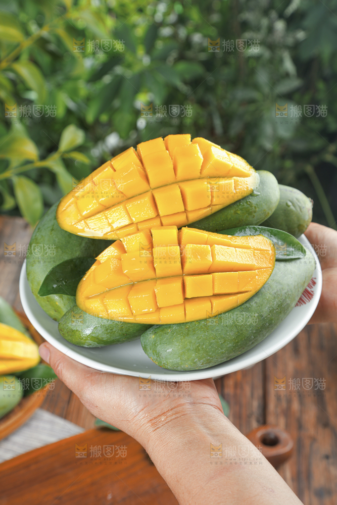 桂七芒