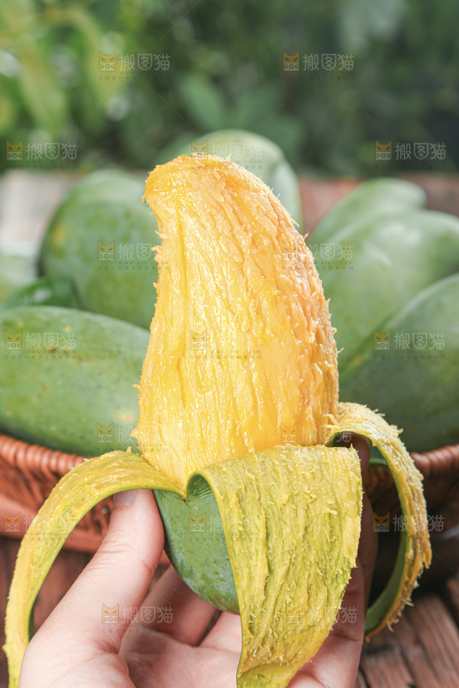 桂七芒