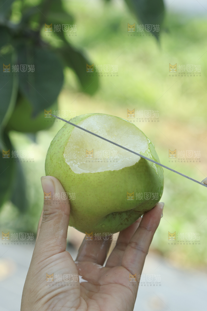 脆蜜梨