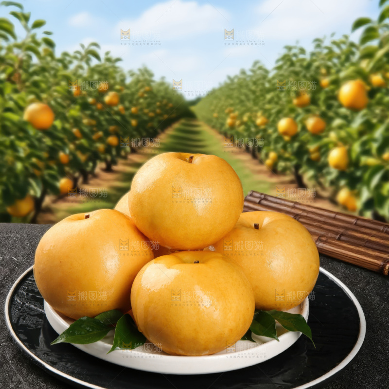秋月梨