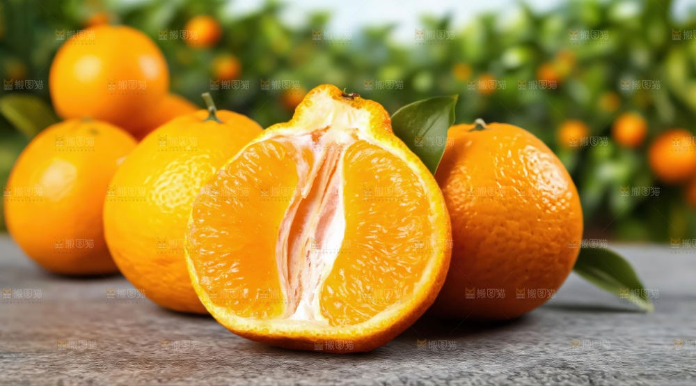 丑橘
