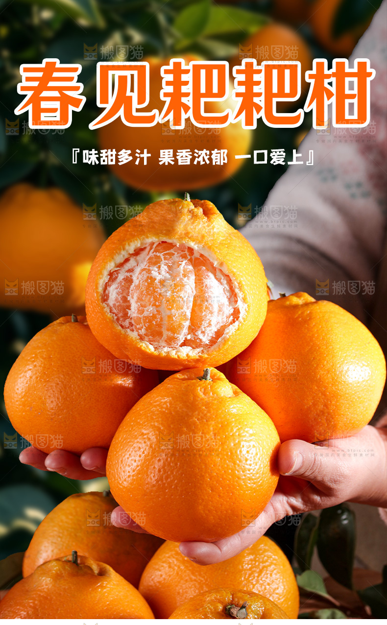 耙耙柑详情页