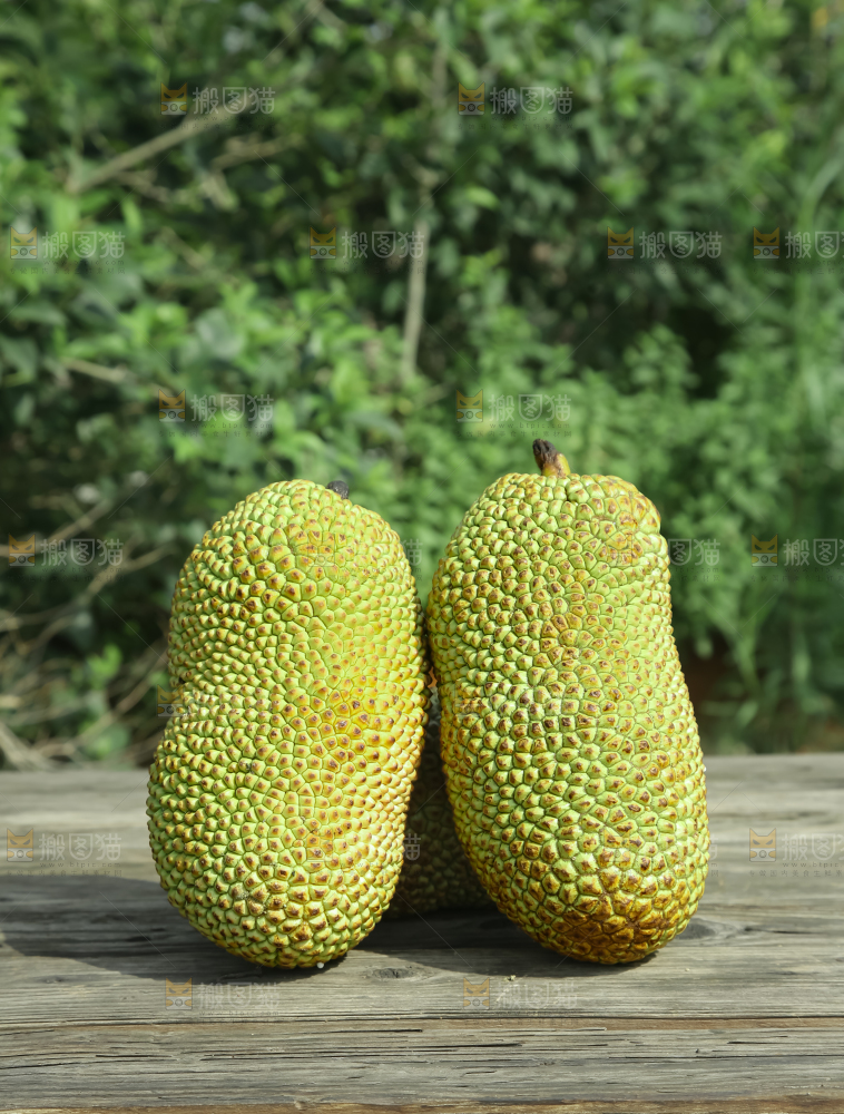 榴莲蜜