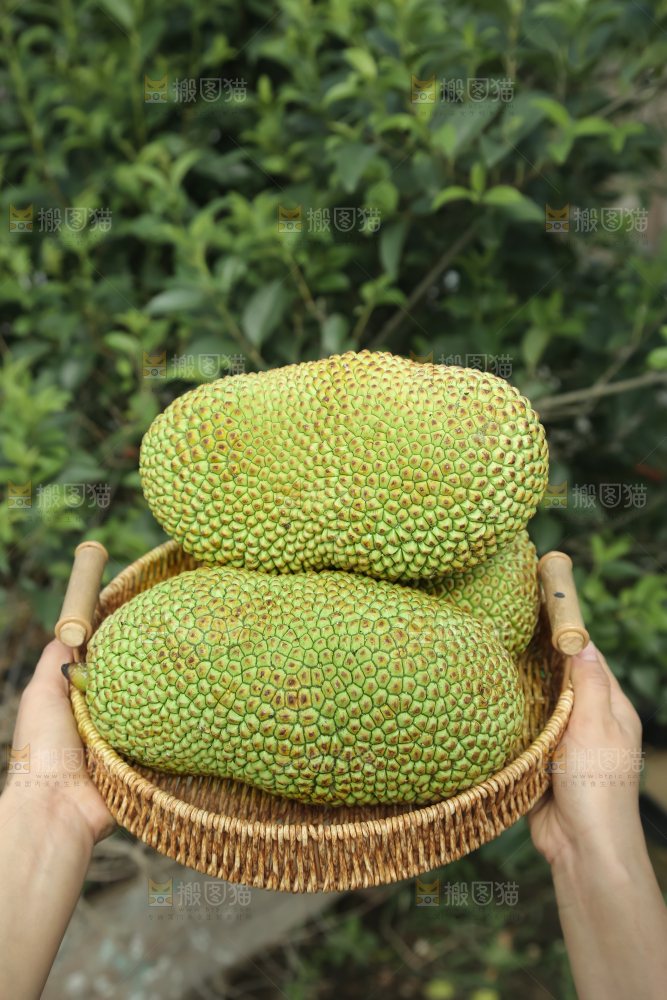 榴莲蜜