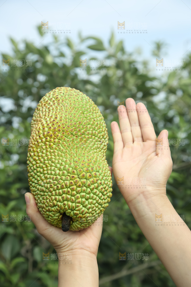 榴莲蜜