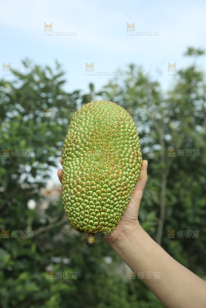 榴莲蜜