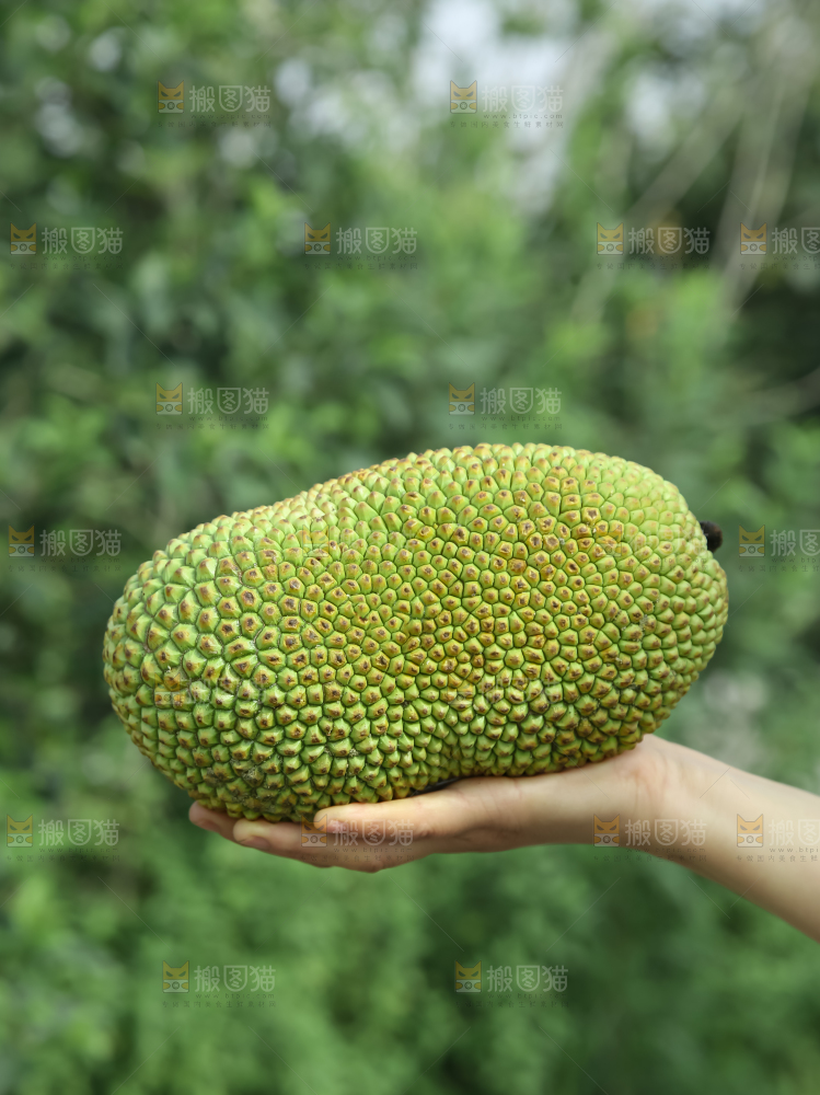 榴莲蜜