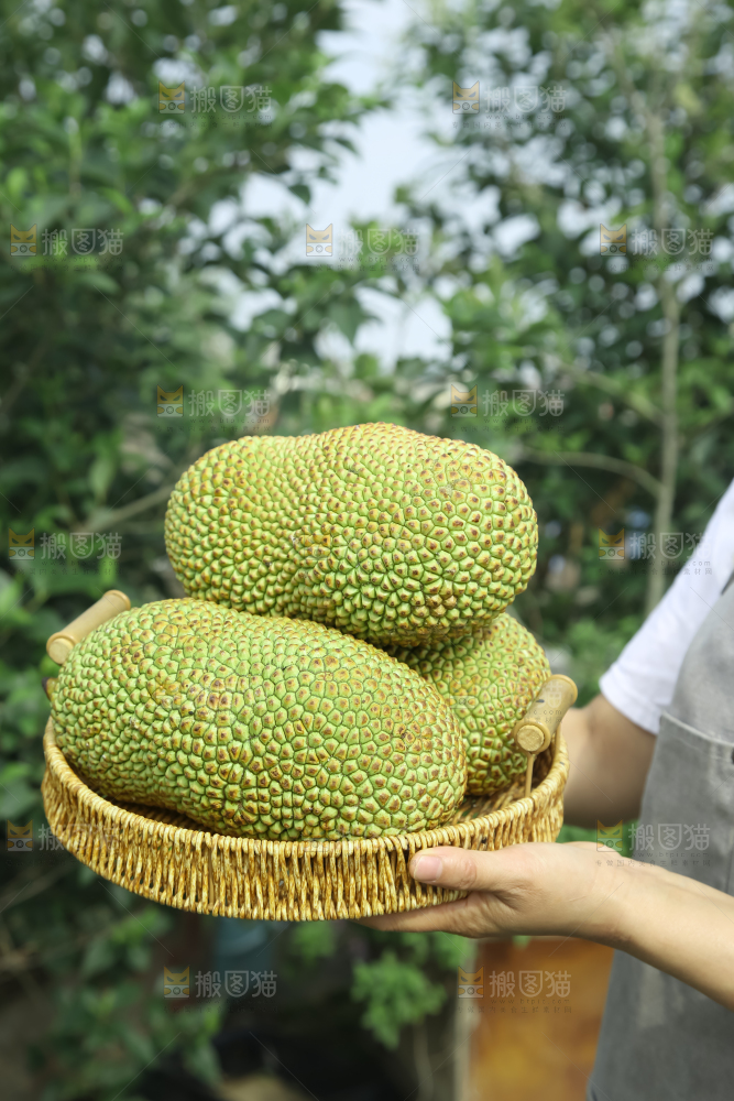 榴莲蜜