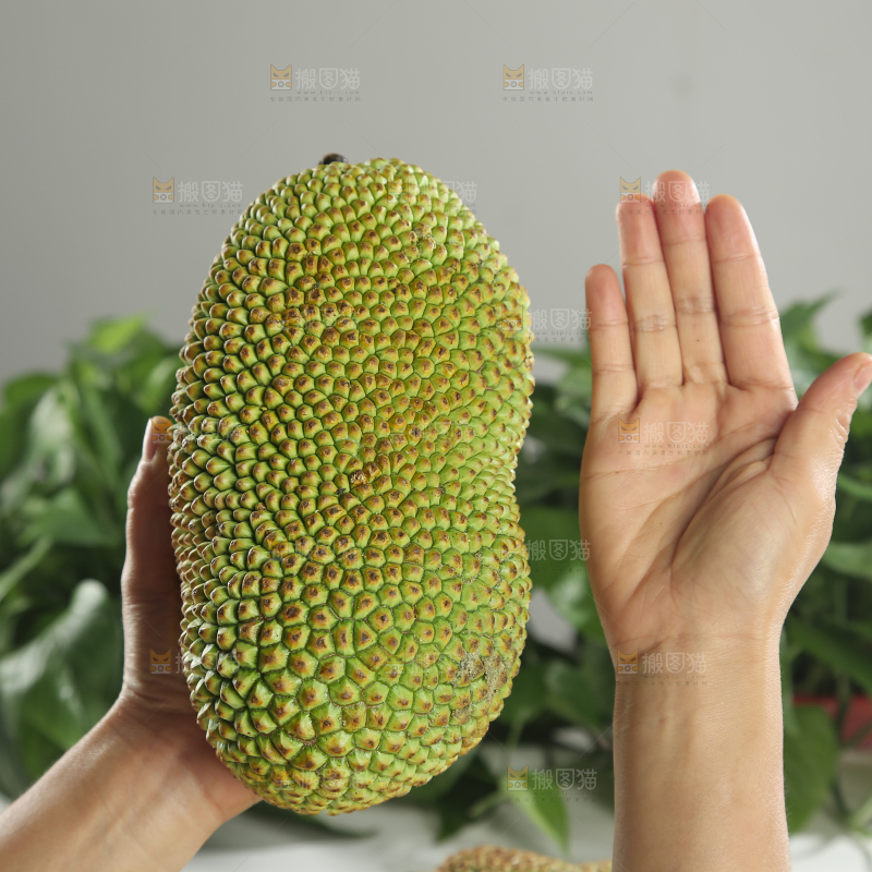 榴莲蜜