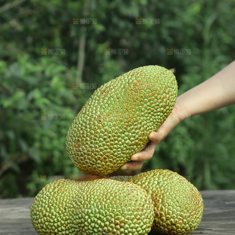 榴莲蜜