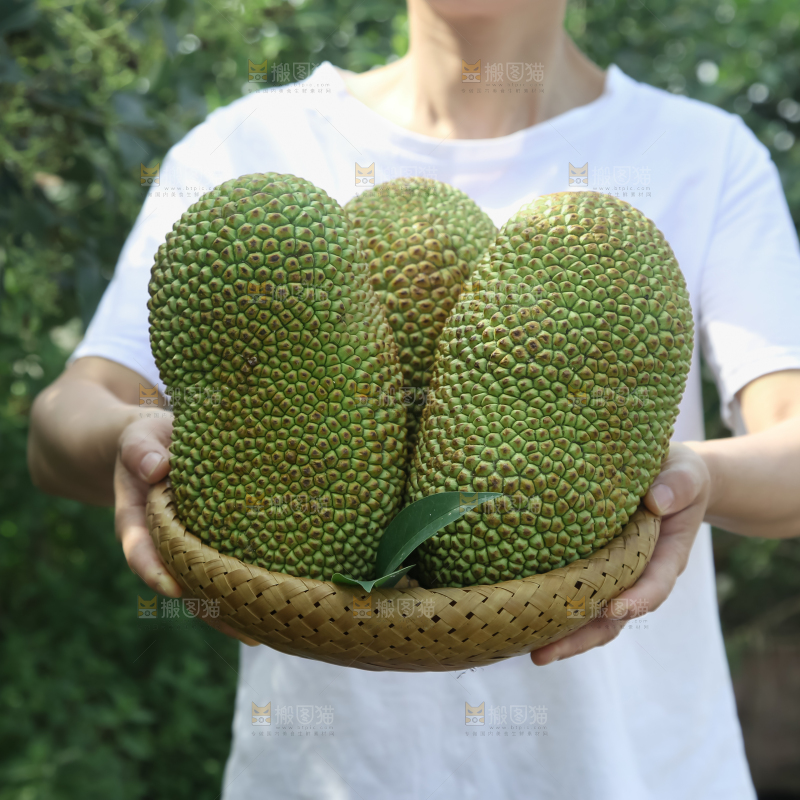 榴莲蜜