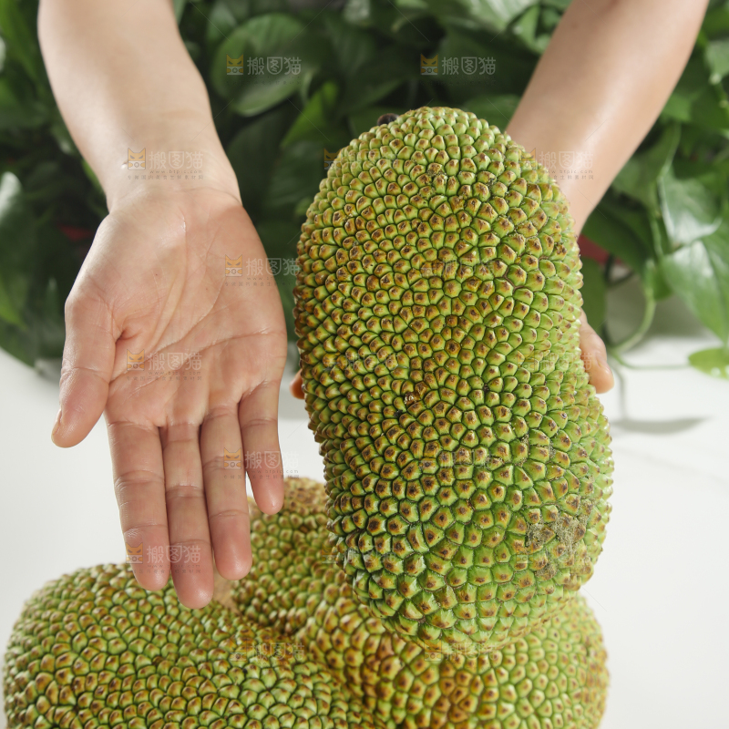 榴莲蜜