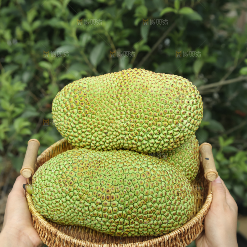 榴莲蜜