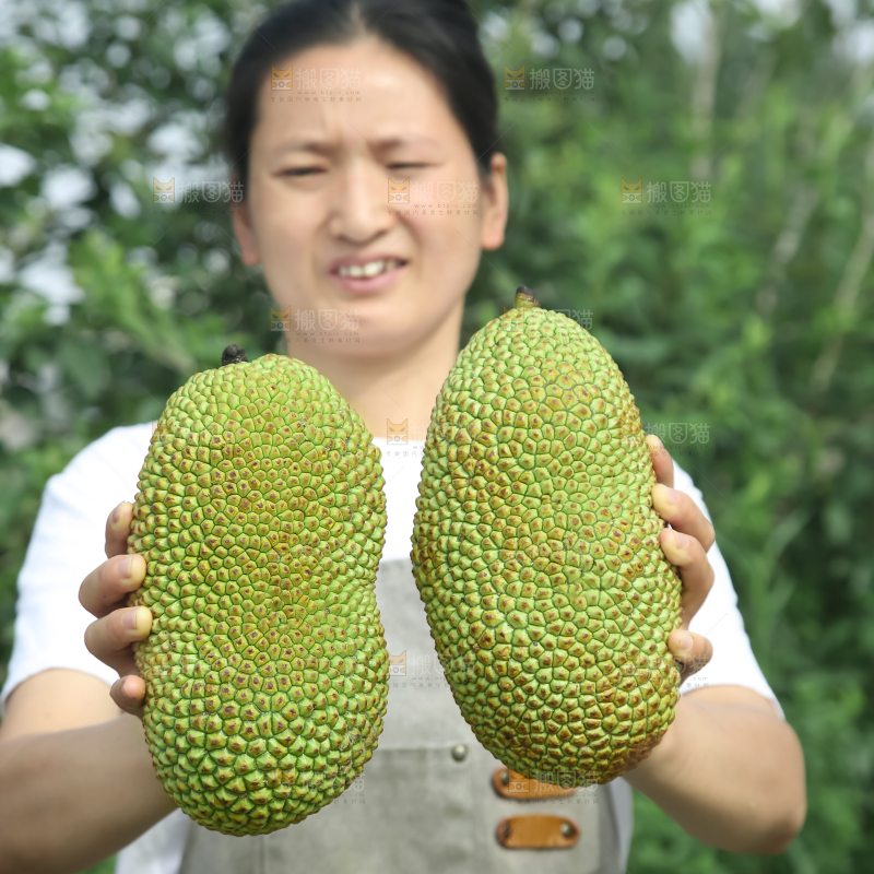 榴莲蜜