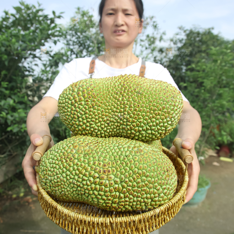 榴莲蜜