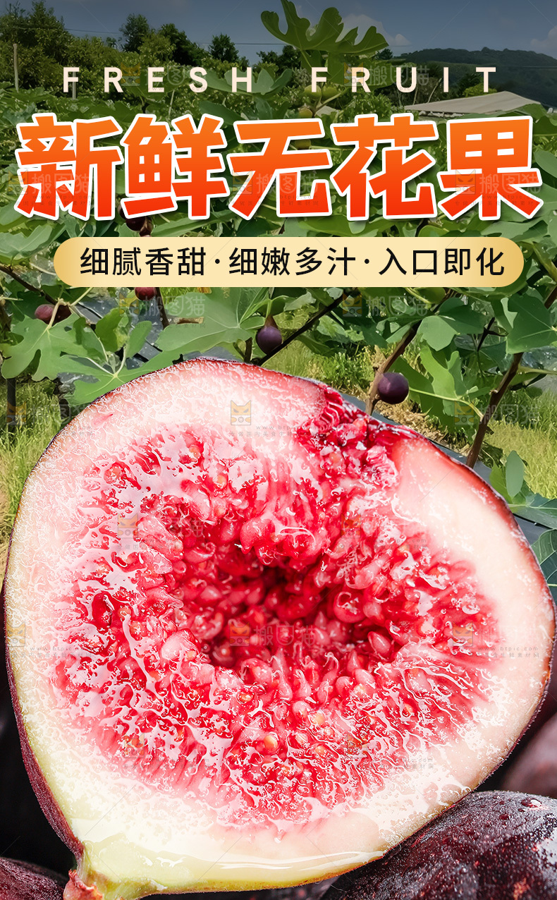 无花果详情页