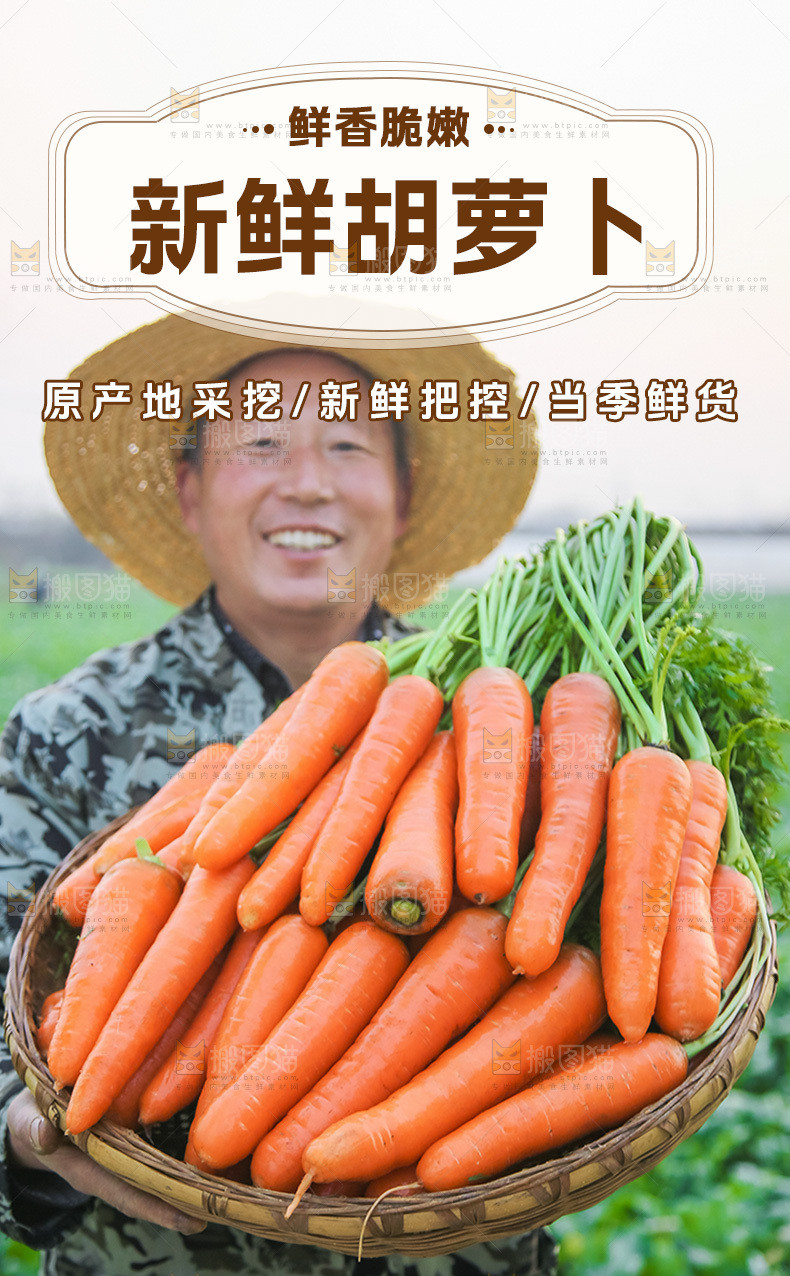 胡萝卜详情页