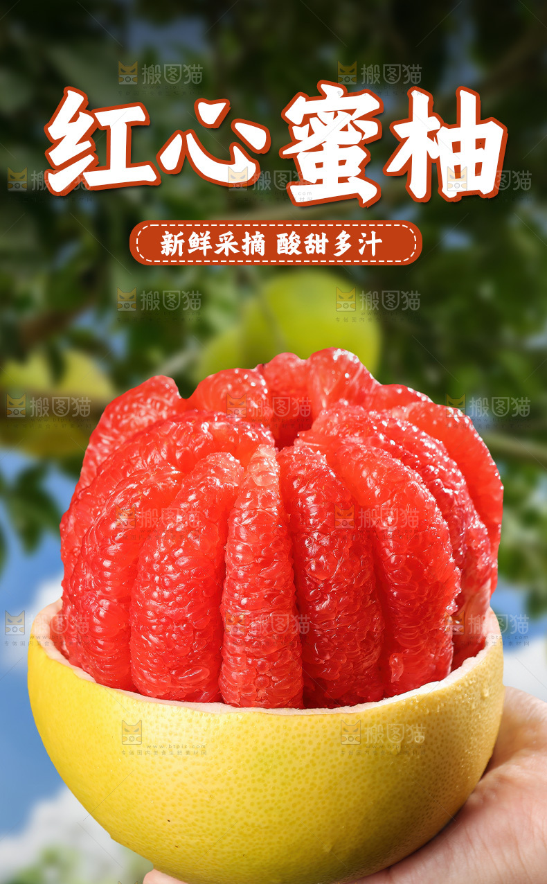 红心蜜柚详情页