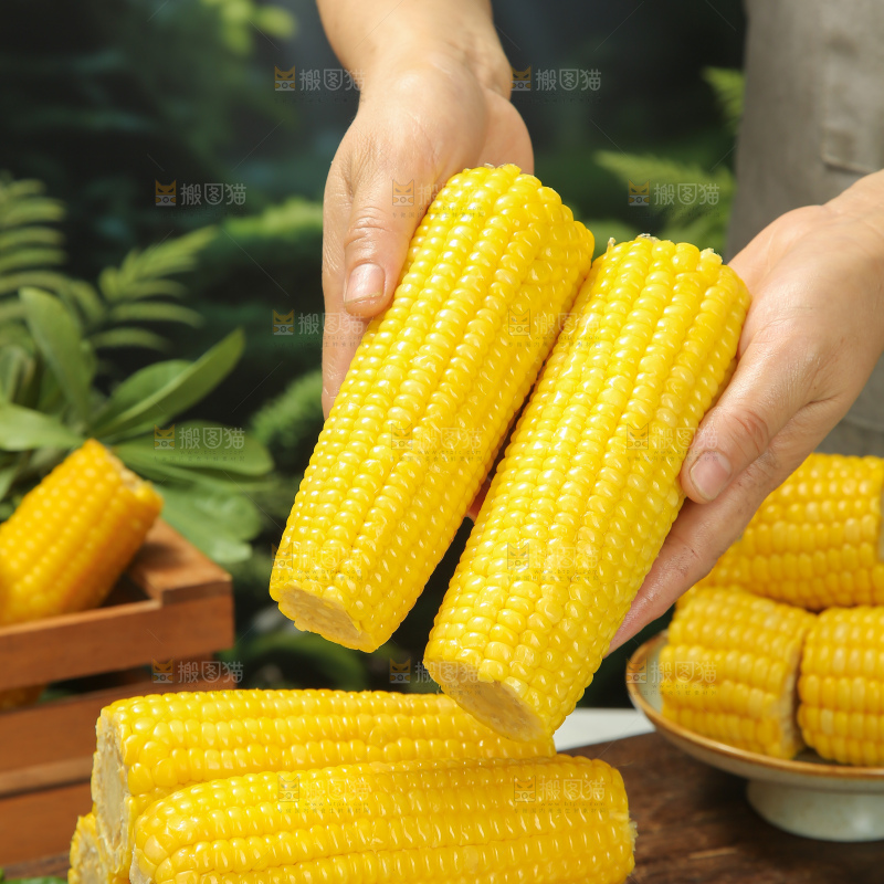 黄糯玉米