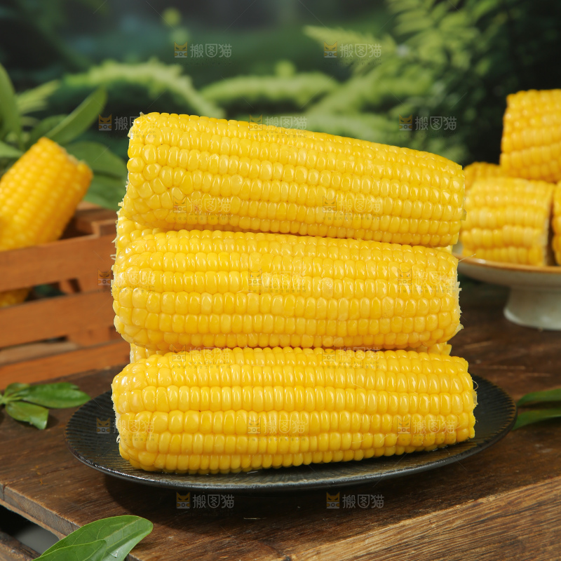 黄糯玉米