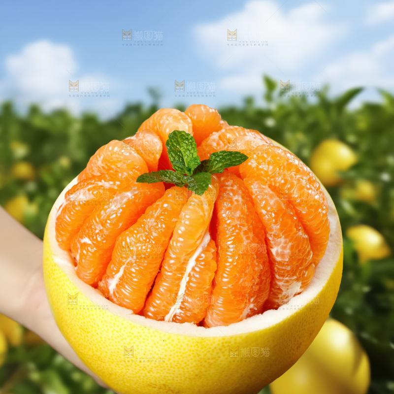 黄金蜜柚