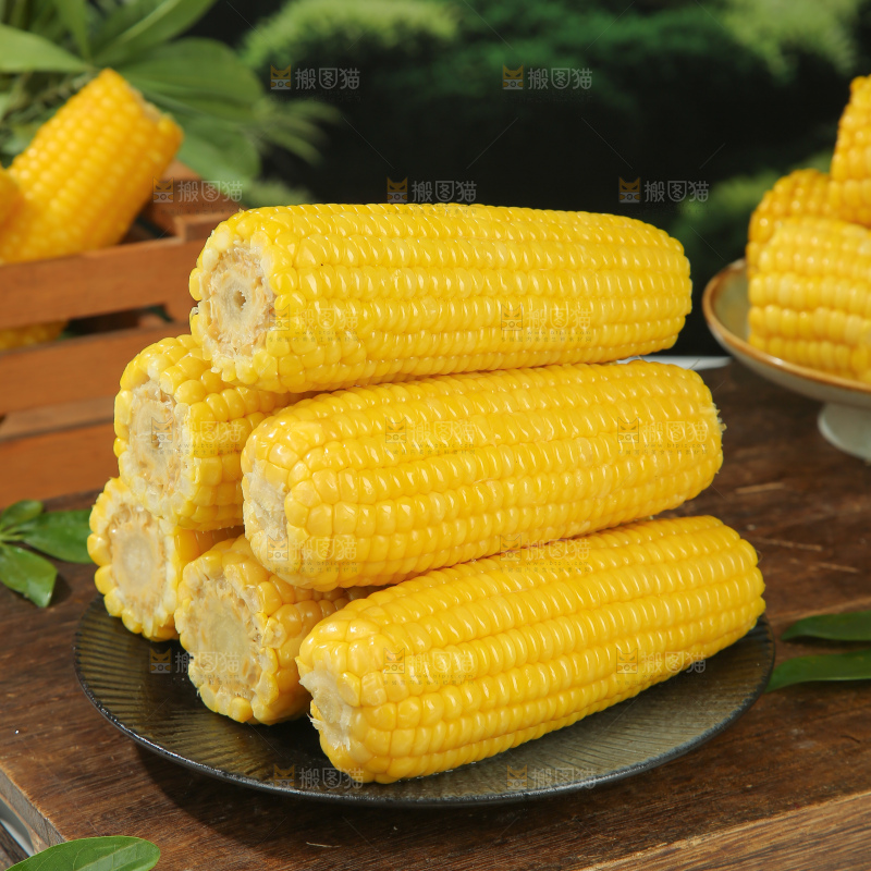 黄糯玉米