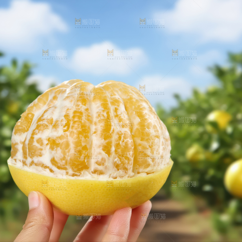 黄金葡萄柚