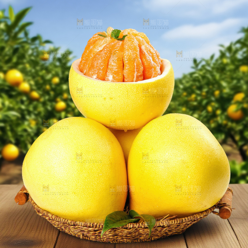 黄金蜜柚