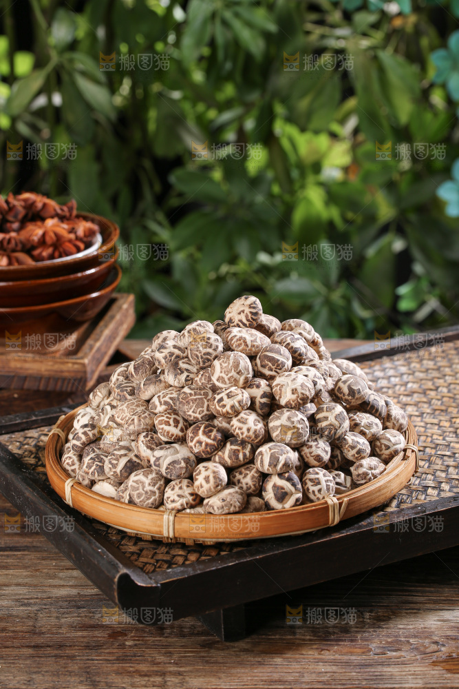 小花菇