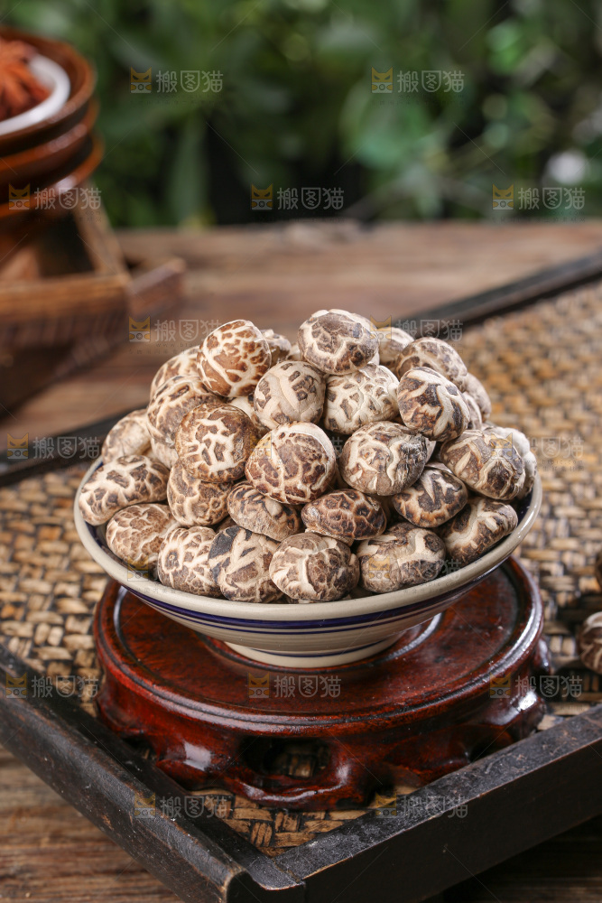 小花菇