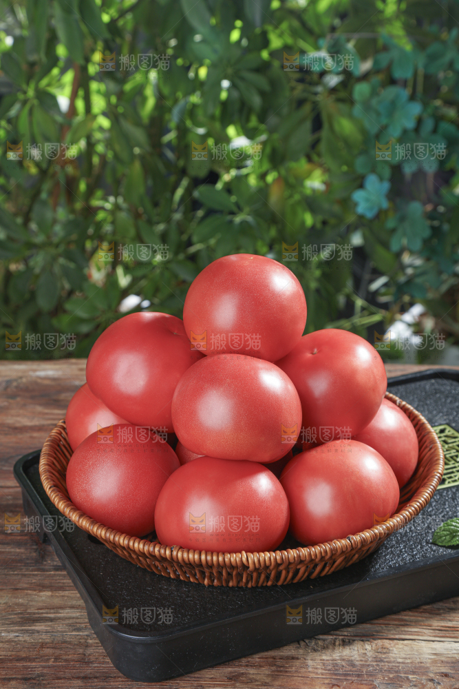 普罗旺斯西红柿