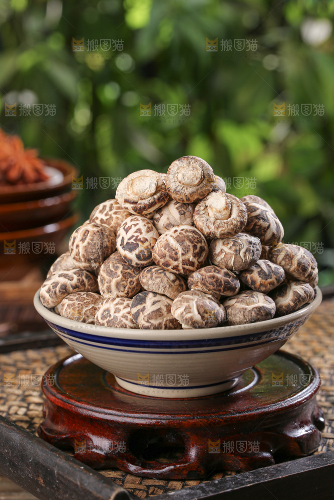小花菇