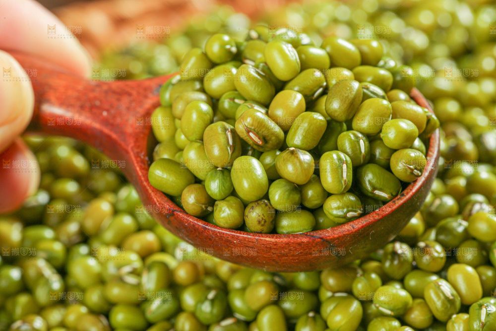 绿豆