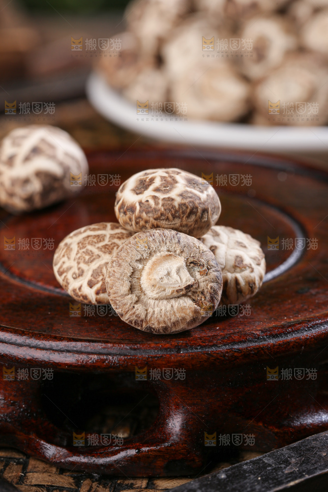 小花菇