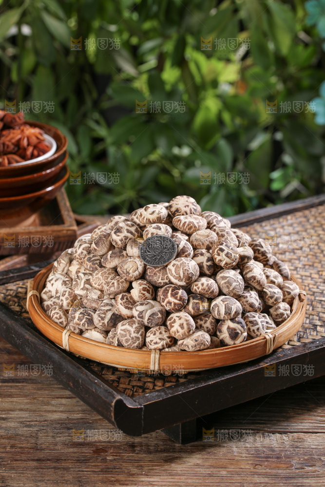小花菇