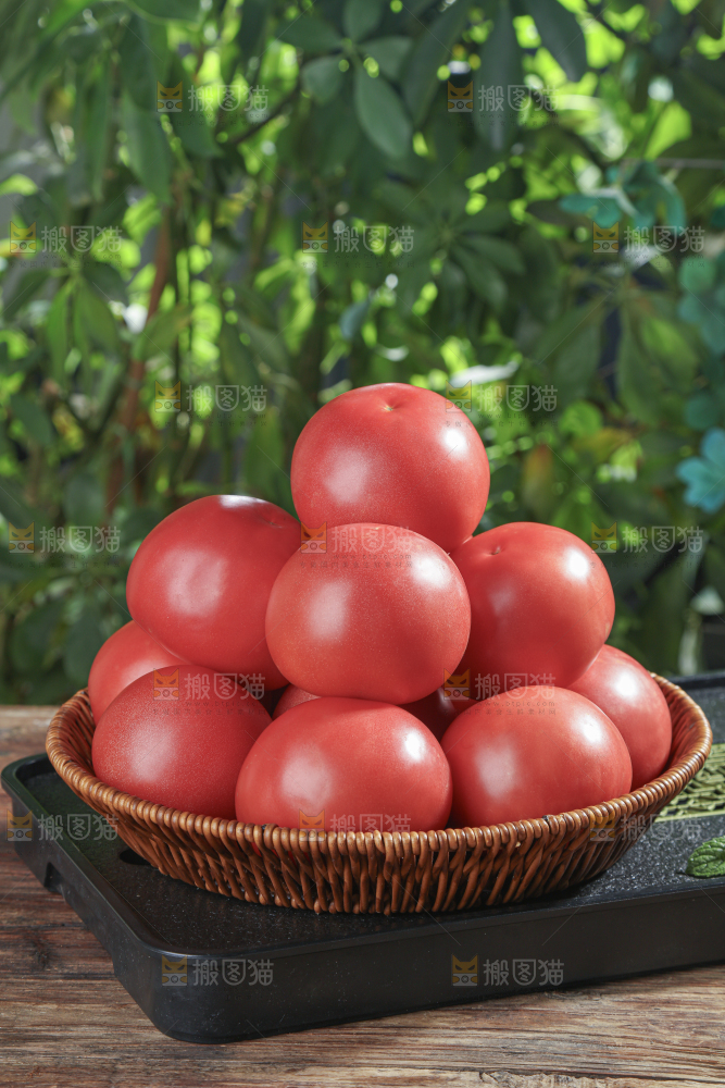 普罗旺斯西红柿