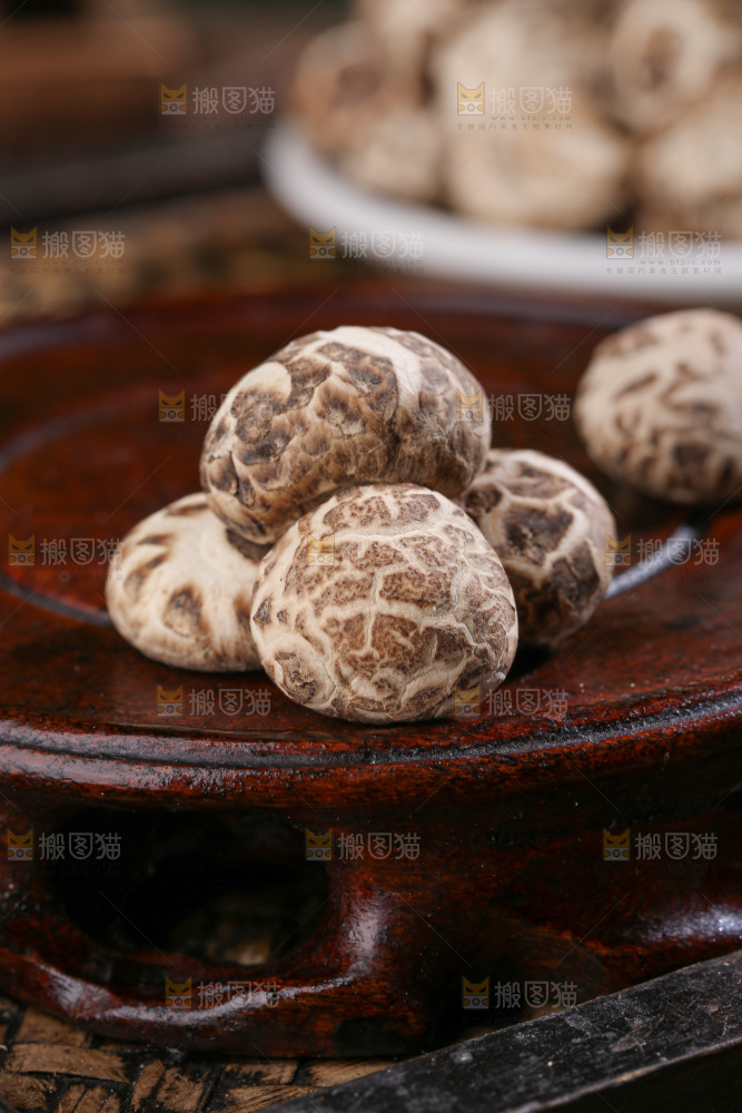 小花菇