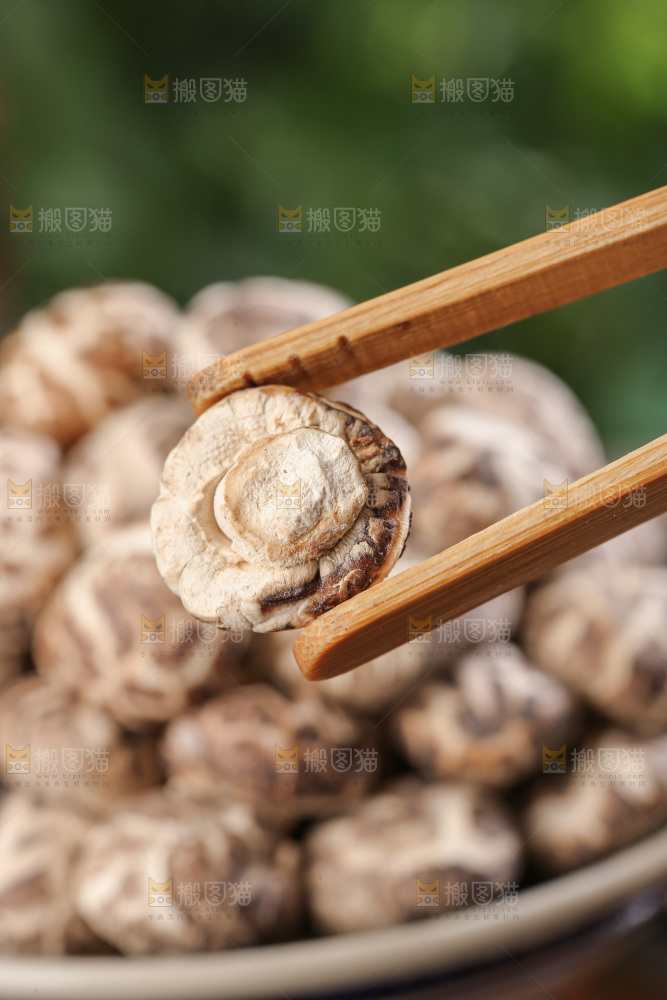 小花菇