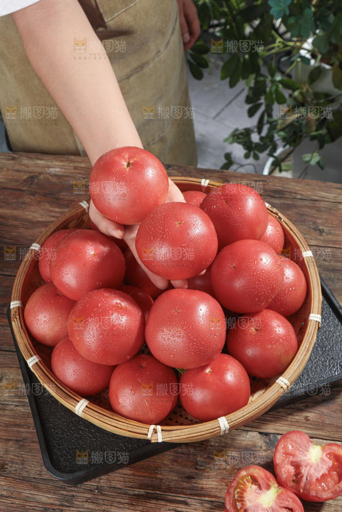 普罗旺斯西红柿